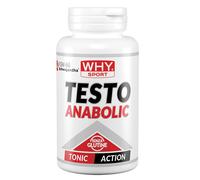 WHY SPORT TESTO ANABOLIC 90 CPR