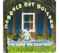 Why There Are Mountains