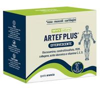 WHYNATURE ARTEF PLUS 24BUST