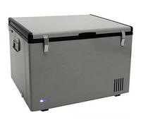 whynter FM-45G 45-quart Portable Frigorifero/congelatore, platino