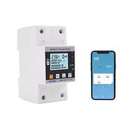 Wi-Fi TUYA Contatore Di Energia Intelligente Dispersione A Terra Relè Di Protezione Da Sovratensione 230V 63A Interruttore Automatico Timer Energia Contatore KWh Smart Life, Controllo Vocale