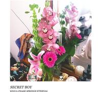 Wicca Phase Springs Eternal Secret Boy (Doublemint (Vinyl LP)