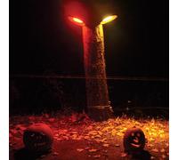 Wicked King Wicker - Flydust