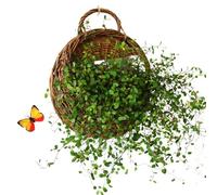 Wicker Baskets For Wall - Handmade Natural Rattan Planter,Wall Basket Decor,for Wedding Kitchen Nursery Home Garden Bedroom Liv-ing Room -Plant Farmh-ouse I-or