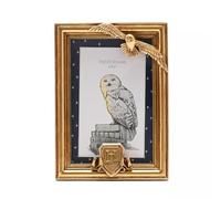 Widdop and Co Cornice per foto dorata Warner Bros. Harry Potter Alumni Hedwig