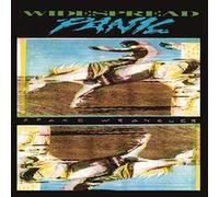 Widespread Panic - Space Wrangler