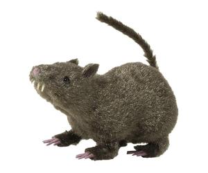 Widmann- Animali Decorazioni, Multicolore, 7795U