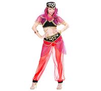 Widmann Harem Dancer (Top With Vest, Pants, Headpiece With Veil) (M) Different C