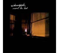 Widowspeak Expect the Best (Vinyl LP) 12" Album
