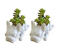 Widybord 2 fioriere in resina a forma di bulldog francese, mini fioriere per piante, vaso da tavolo a forma di cane bonsai