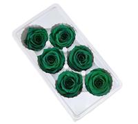 Widybord 6 pezzi fiore della vita conservato 5-6 cm testa di rosa decorazione per festa di matrimonio festa della mamma fai da te fiori regali fatti a mano facile da installare facile da usare, i