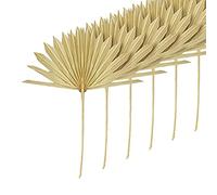 Widybord 6 Pezzi Grandi Foglie di Palma Secche Ventilatori di Palma Secchi Naturali Mazzo di Fiori Secchi Decorati Matrimonio Foglie di Palma Secche