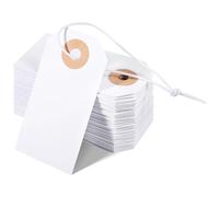 Widybord Confezione da 100 etichette vergini con marcatura elastica etichette volanti legate con foro rinforzato etichette vergini iscritbili facili da installare facili da usare 2,75 x 1,3
