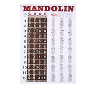 Widybord Poster di Mandolina Tabella degli Accordi di Formazione Musicale Guida agli Strumenti Accordi Tabella delle Diteggiature Del Manica