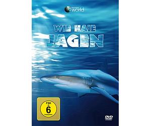 Wie Haie jagen