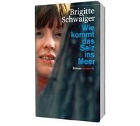 Wie kommt das Salz ins Meer. Roman
