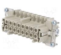 WIELAND 70.300.1640.0 Connettore