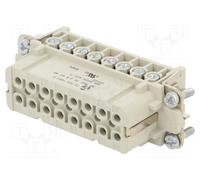 WIELAND 73.300.1653.0 Connettore