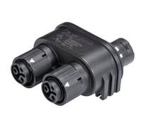 Wieland Electric 46.030.1253.1 Distributore Tot poli: 2 + PE Serie (connettore