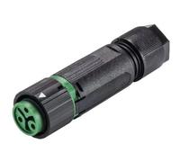 Wieland Electric 46.031.4555.7 Connettore circolare Giunto dritto Tot poli: 2