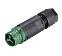 Wieland Electric 46.032.4555.7 Connettore circolare Spina dritta Tot poli: 2 +