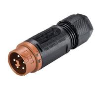 Wieland Electric 46.052.4550.4 Connettore circolare Spina dritta Tot poli: 5 S