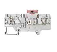 Wieland Electric 56.704.4155.0 Morsetto portafusibili per fusibili per automobi