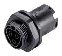 Wieland Electric 96.031.1053.1 Connettore circolare Presa Tot poli: 3 1 pz.