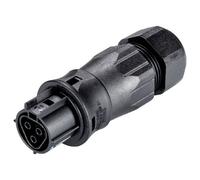 Wieland Electric 96.031.4553.1 Connettore