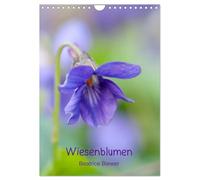 Wiesenblumen (Wandkalender 2026 DIN A4 hoch), CALVENDO Monatskalender: Die kleinen wilden Blumen von den Wiesen und Feldern