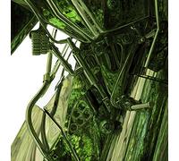 Wife - Standard Nature