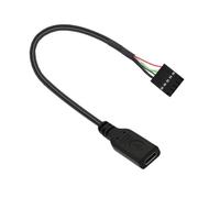 Wiffe Cavo Adattatore per Porta Anteriore del Case del, Without Ears | Basetta scheda madre da tipo C femmina a 9 pin, cavo USB 2.0 da 20 cm per uso interno