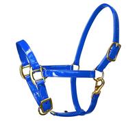 Wiffe Copricapo per cavallo alla moda, in pelle, con accessori dorati, design impermeabile per un uso stabile