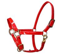 Wiffe Copricapo per cavallo alla moda, in pelle, con accessori dorati, design impermeabile per un uso stabile