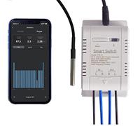 wifi temperature sensor,Switch Module Monitoring WiFi Controller Smart Home Remote Control 16A Via tuya misurazione della potenza(TH16+DS 18B20)