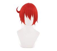 Wig cosplay parrucca hataraku saibou cellule al lavoro eritrociti globuli rossi blustrici parrucca corta costume costume resistenti al calore resistenti ai capelli sintetici Wigs Wigs