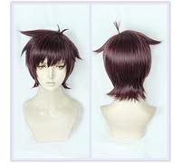 Wig for Amine Sarazanmai Cosplay Kazuki Yasaka Parrucca Marrone Viola Capelli Sintetici Corti Parrucche Cosplay di Halloween + Cappuccio per Parrucca