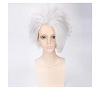 Wig for Anime BLEACH Hitsugaya Toushirou Parrucca corta bianca argento Costume cosplay Parrucche sintetiche resistenti al calore per uomini