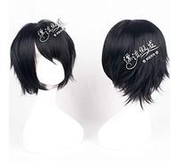 Wig for Anime Wigs Cosplay Christmas Cosplay Wig Tutor Hibari Kyouya Shiki Black Short Hair Cos Wig