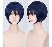 Wig for Carnival Nightlife CluI Party Dress Up Wig Cosplay Wig Multicolor Universal Face Short Hair Msn Black And White Short Hair Bobo Headgear Wig Color:K047-13 Indigo Blue