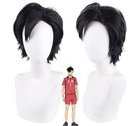 Wig for Halloween Fashion Christmas Party Dress Up Wig Cosplay Wig Volleyball Teenager Black Tail Tetsuro Black Wig