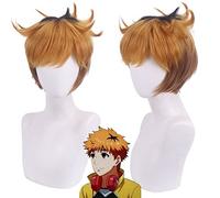 Wig for Halloween Fashion Christmas Party Dress Up Wig Yongkin Hideyoshi Cosplay Wig Yellow And Black Reverse Curled Short Hair