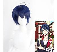 Wig for Twisted-Wonderland Floyd Jade Idia Shroud Epel Felmier Lilia Vanrouge Ace Trappola Riddle Rosehearts Cater Diamond Cosplay Parrucche CINA Deuce