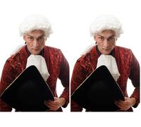 WIG ME UP -DH1126-P60 Parrucca Barocco Uomo Nobiluomo Lord Cavaliere Compositore di Corte Poeta Bianco Riccia Lunga Coda (Confezione da 2)