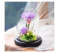 WIGSELBL Elegante fiore in cupola di vetro, fatto a mano, rose illuminate romantiche per sempre, decorazione domestica alimentata a batteria (viola)