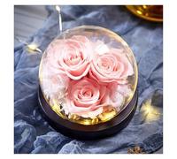 WIGSELBL Forever Rose per la consegna, fiori conservati illuminati a cupola in vetro, Natale per moglie, fidanzata, donne, migliore amica, rosa