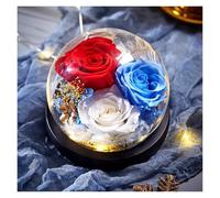 WIGSELBL Forever Rose per la consegna, fiori conservati illuminati a cupola in vetro, per Natale, per moglie, fidanzata, donna, migliore amica, colore rosso