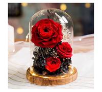 WIGSELBL Rose in vetro per la festa della mamma, realizzate a mano, romantiche rose per sempre, regali da donna per anniversario, festa della donna (rosso)