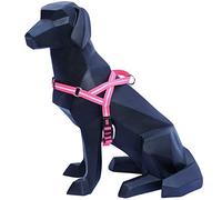 WIGZI, Imbracatura Imbottita e Riflettente, Resistente alle intemperie, per Tutte Le Condizioni, con Collo e Petto Regolabili, Durevole - Ez ON/off No Step in, Small, Mocassini Eleganti da Donna