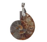 WIHFHGZ Ciondolo Ammonite Vintage, Conchiglia a Spirale Piatta, Gioiello Artigianale Unisex - Design Unico, Porta Fortuna, Idea Regalo per Amanti della Natura